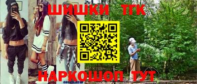 крисы Будённовск