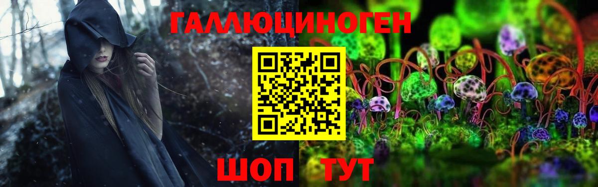 Псилоцибиновые грибы GOLDEN TEACHER Нефтекумск
